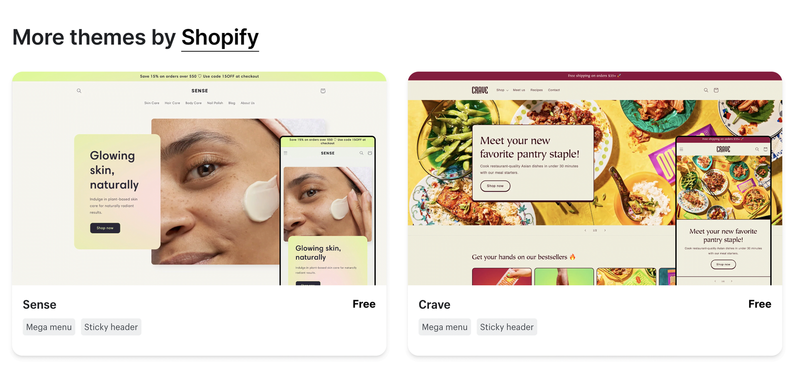 Shopify Theme Beispiele
